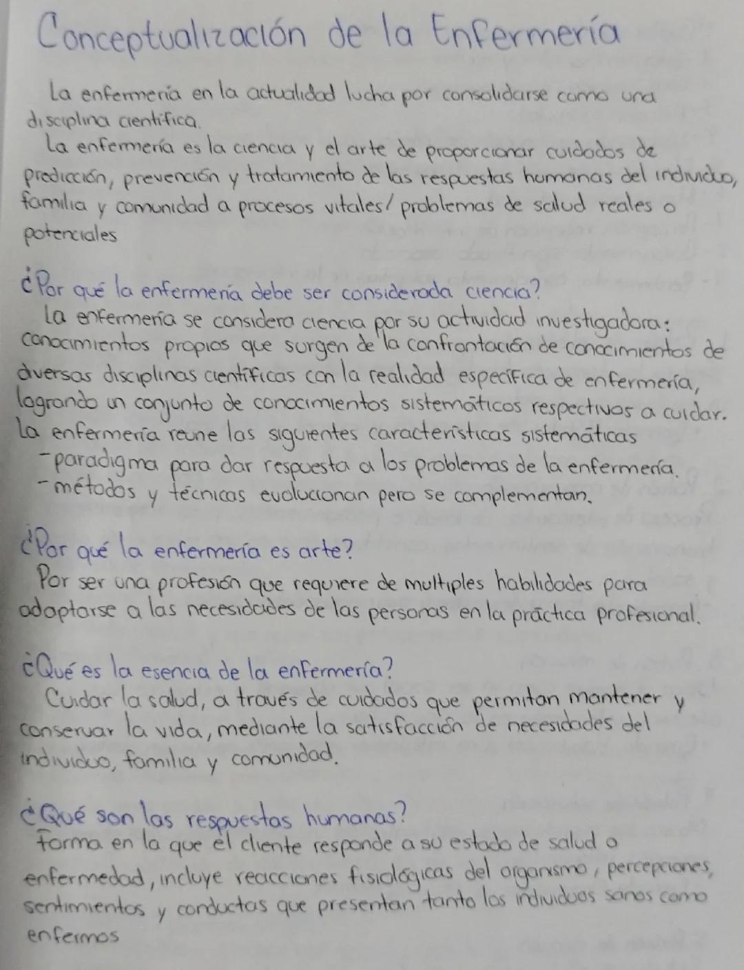 Introducción a la Conceptualización en Enfermería