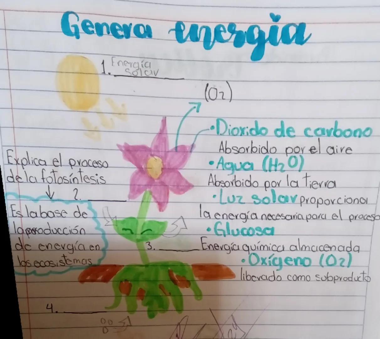 # Genera energia

1 Energia

Explica el proceso
de la fotosíntesis
↓ 2.

Es labase de
laproducción
de energía en
los ecosistemas

3.

(02)

