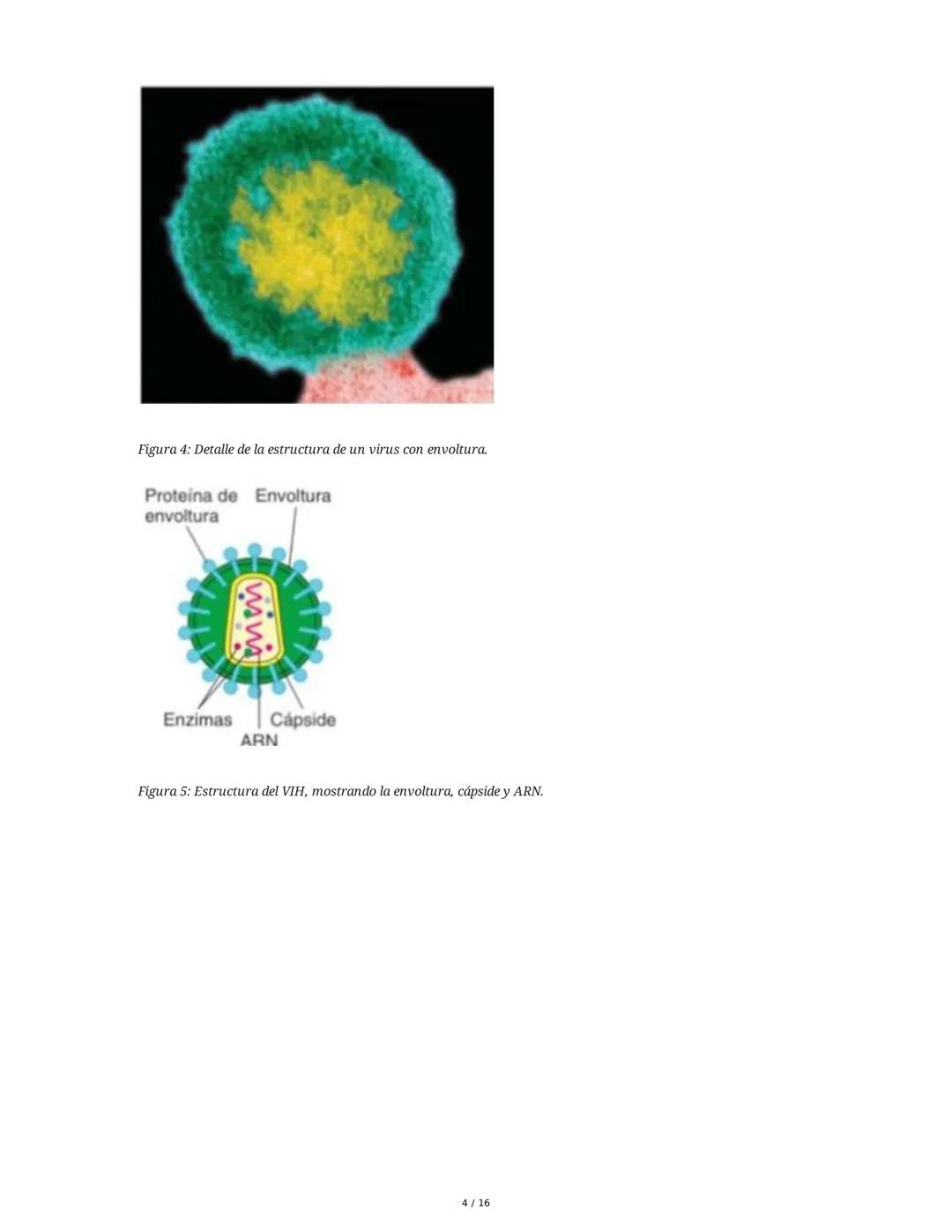 ## Virus y Agentes Subvirales

### 1. Introducción a los Virus

Los virus son partículas microscópicas compuestas por un núcleo de ácido nuc