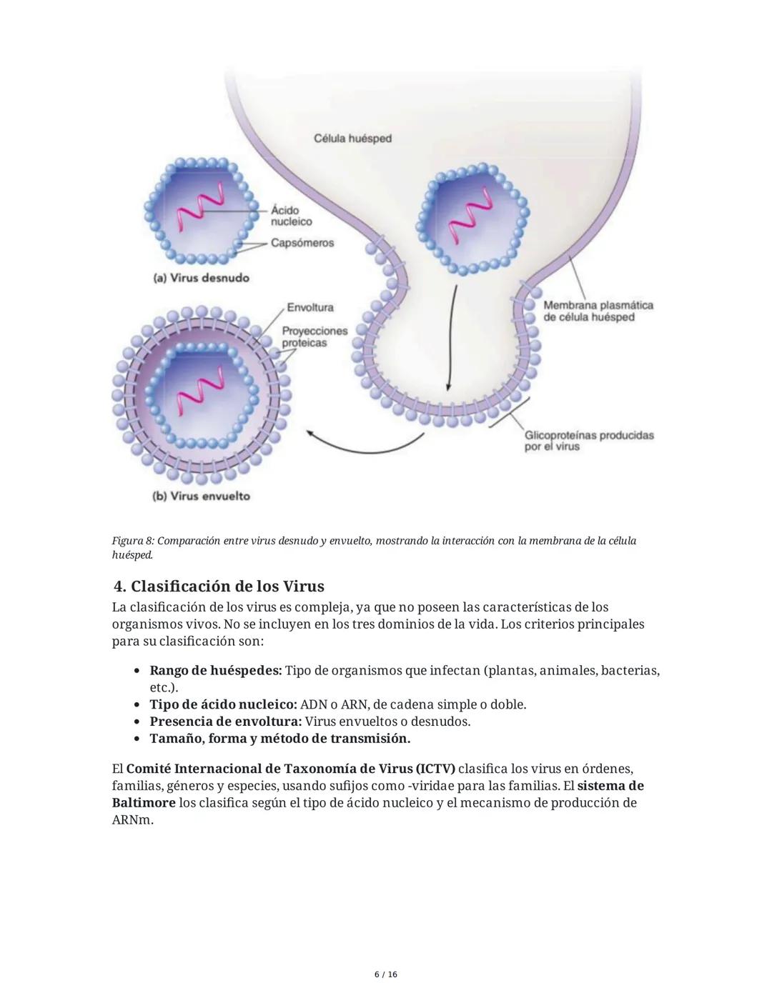 ## Virus y Agentes Subvirales

### 1. Introducción a los Virus

Los virus son partículas microscópicas compuestas por un núcleo de ácido nuc