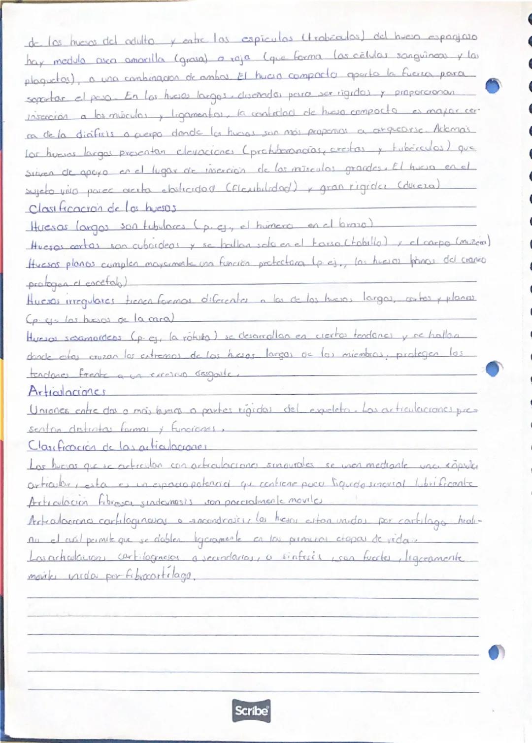 Sistema esquelético
3
hiodo
+
Esqueleto anal compuesta par los huesos de la cabeza (cranco), el cuello Chico
vertebras cervicales) el tronco