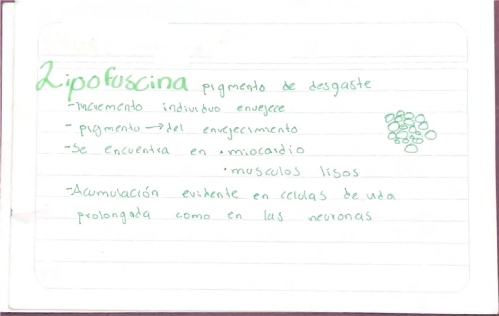 Biologia 3
RER
•Las proteinas que actuan en Sintesis de proteinas
estan en RER -celulas plasmaticas
- prancueas
- secretoras de moco
- recub