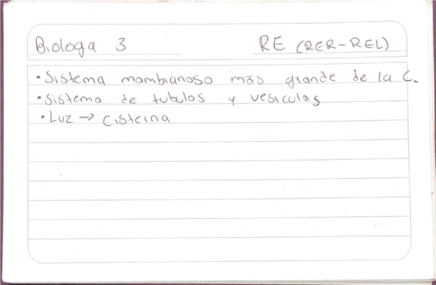 Biologia 3
RER
•Las proteinas que actuan en Sintesis de proteinas
estan en RER -celulas plasmaticas
- prancueas
- secretoras de moco
- recub