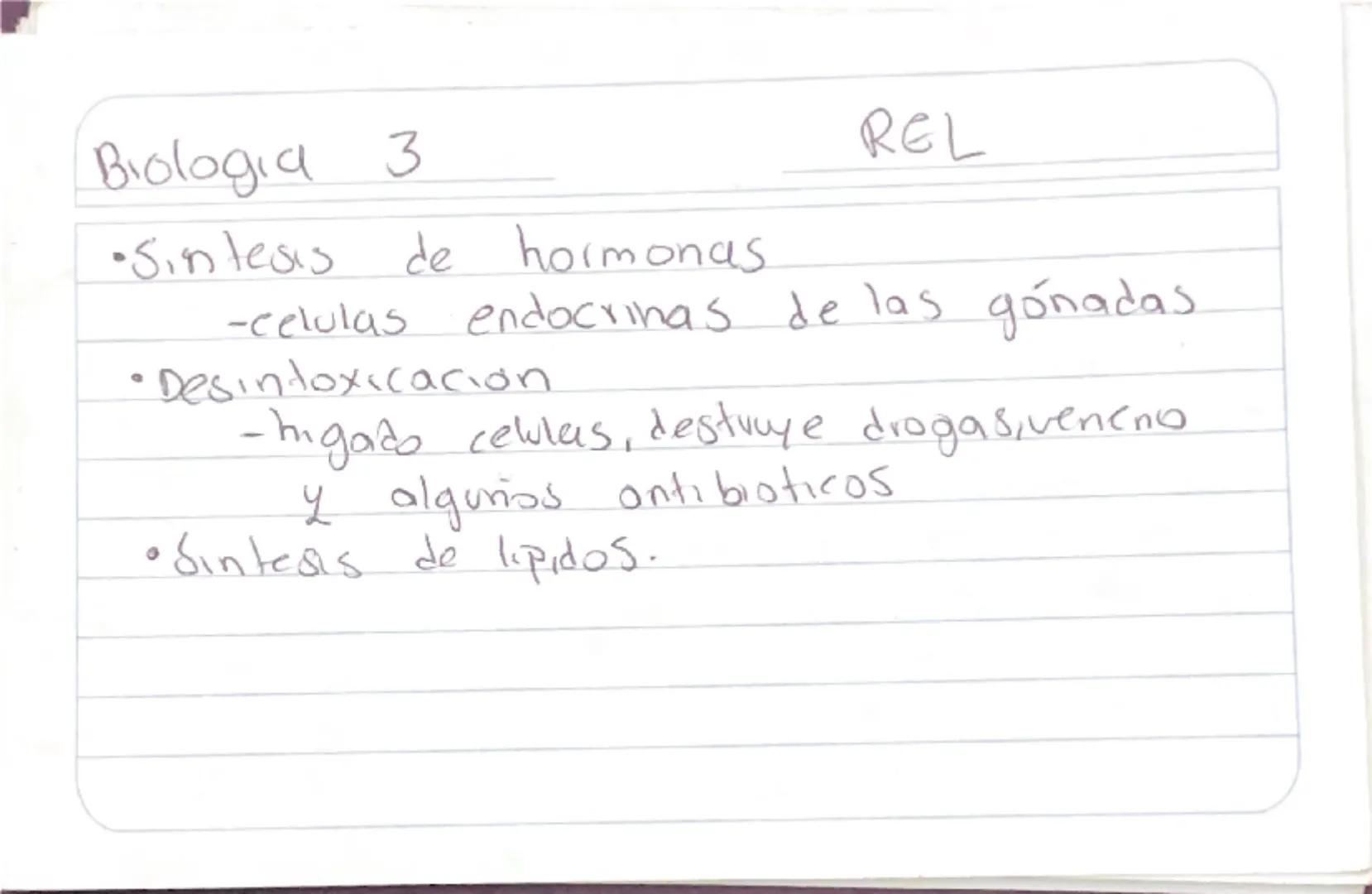 Biologia 3
RER
•Las proteinas que actuan en Sintesis de proteinas
estan en RER -celulas plasmaticas
- prancueas
- secretoras de moco
- recub