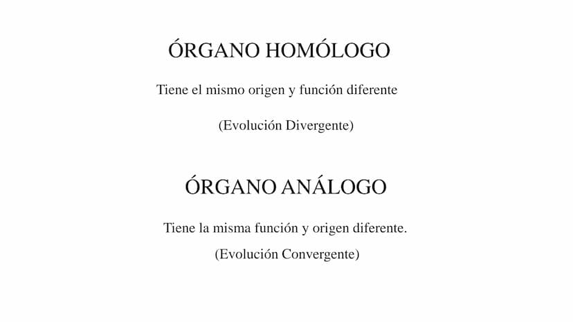 DEFINICIÓN
La evolución biológica es el proceso continuo de transformación
de las especies a través de cambios producidos en sucesivas
gener