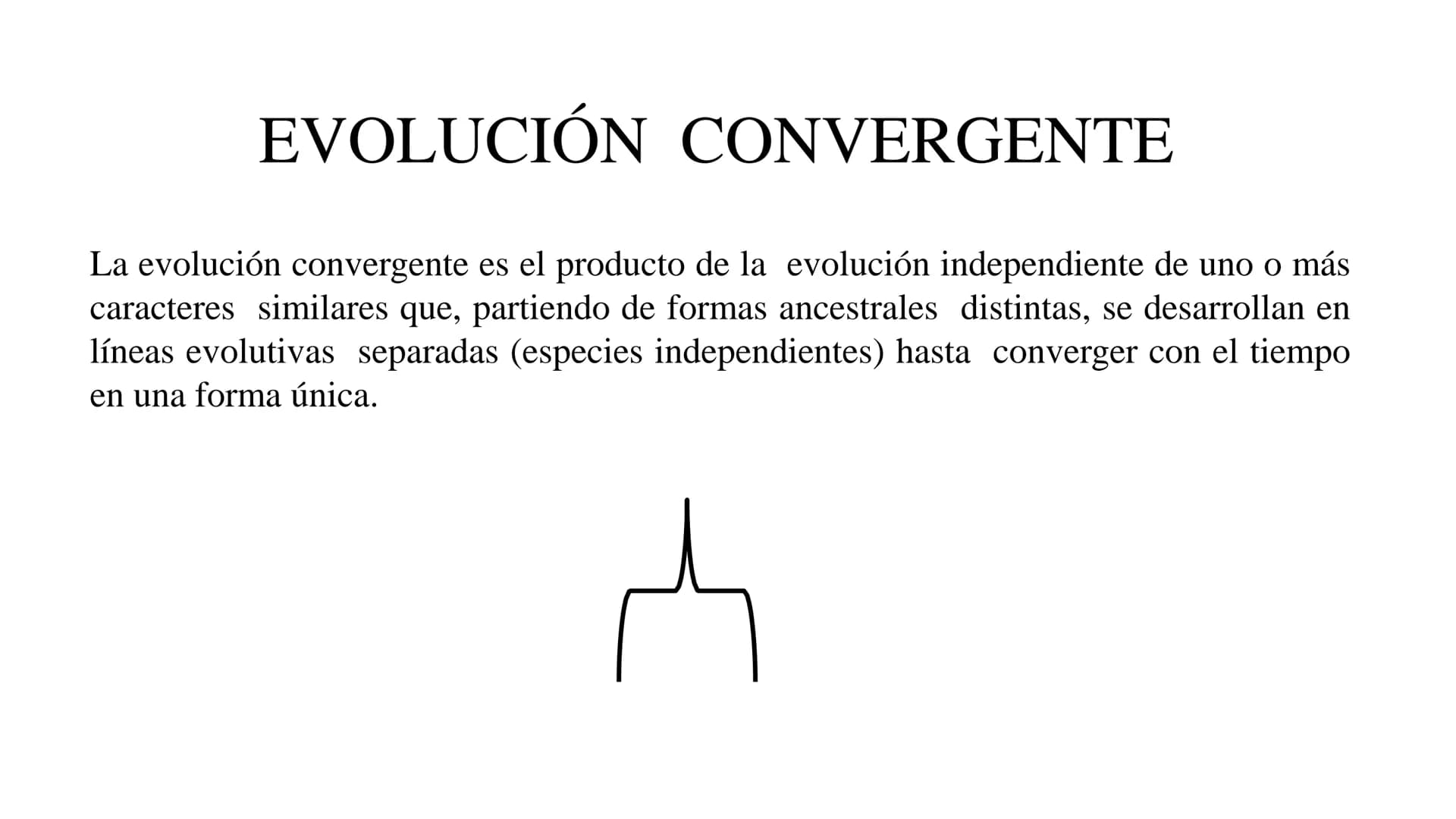 DEFINICIÓN
La evolución biológica es el proceso continuo de transformación
de las especies a través de cambios producidos en sucesivas
gener