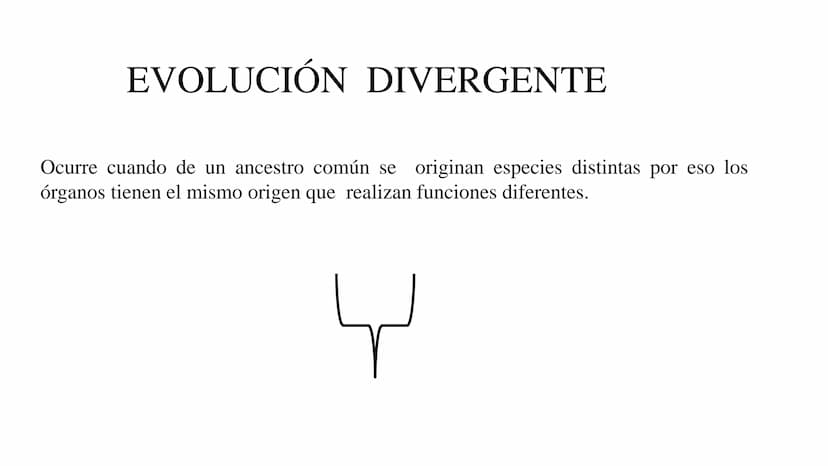 DEFINICIÓN
La evolución biológica es el proceso continuo de transformación
de las especies a través de cambios producidos en sucesivas
gener