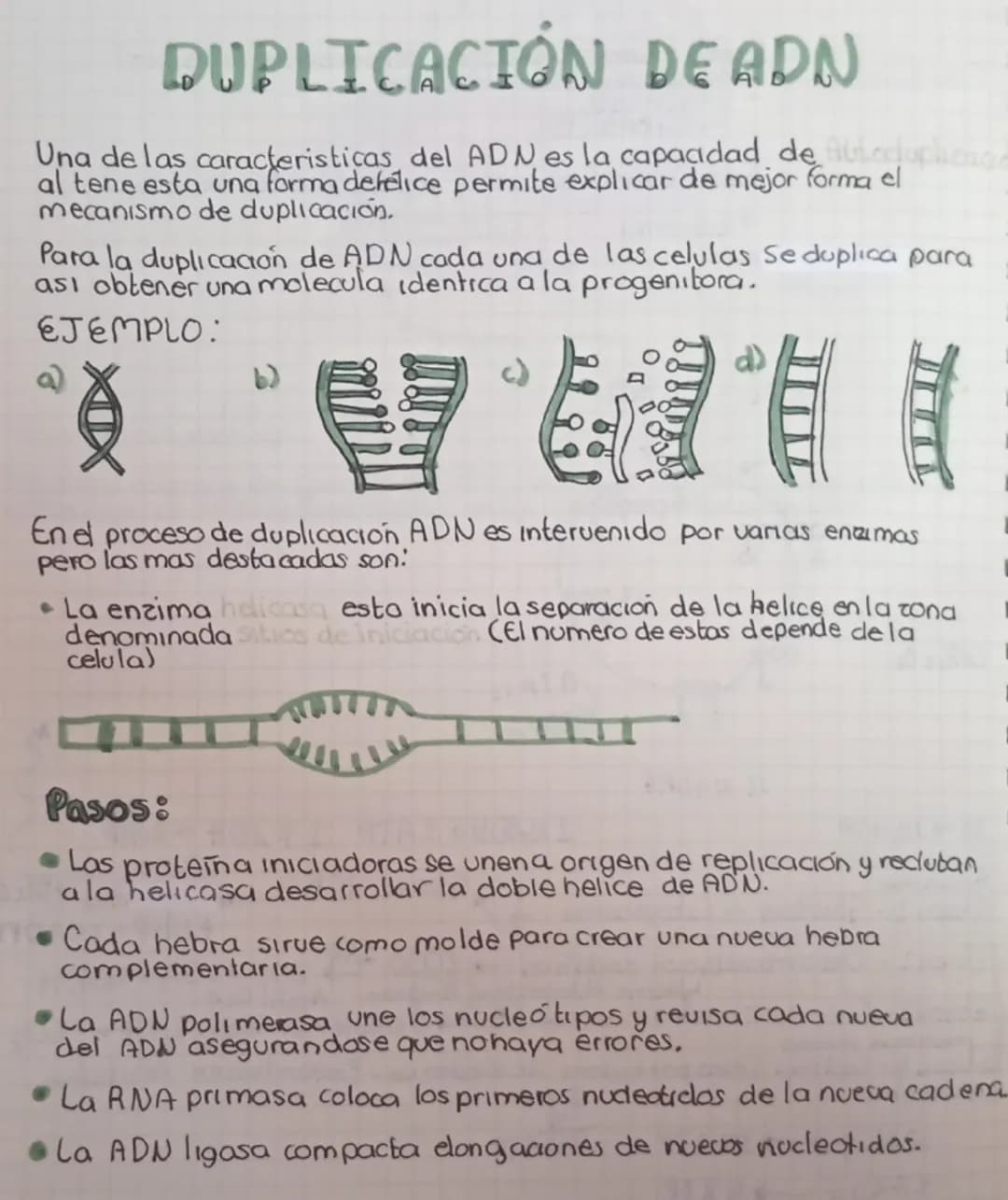 DUPLICACIÓN DEADN
Una de las caracteristicas del ADN es la capacidad de fuade
al tene esta una forma defelice permite explicar de mejor form