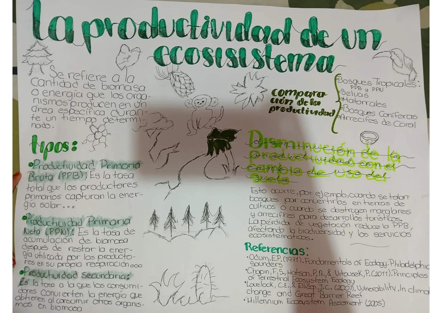 # La productividad de un

Se refiere a la
ere
Cantidad de biomasa
O energía que los orga-
nismos producen en un
área específica duran-
te un