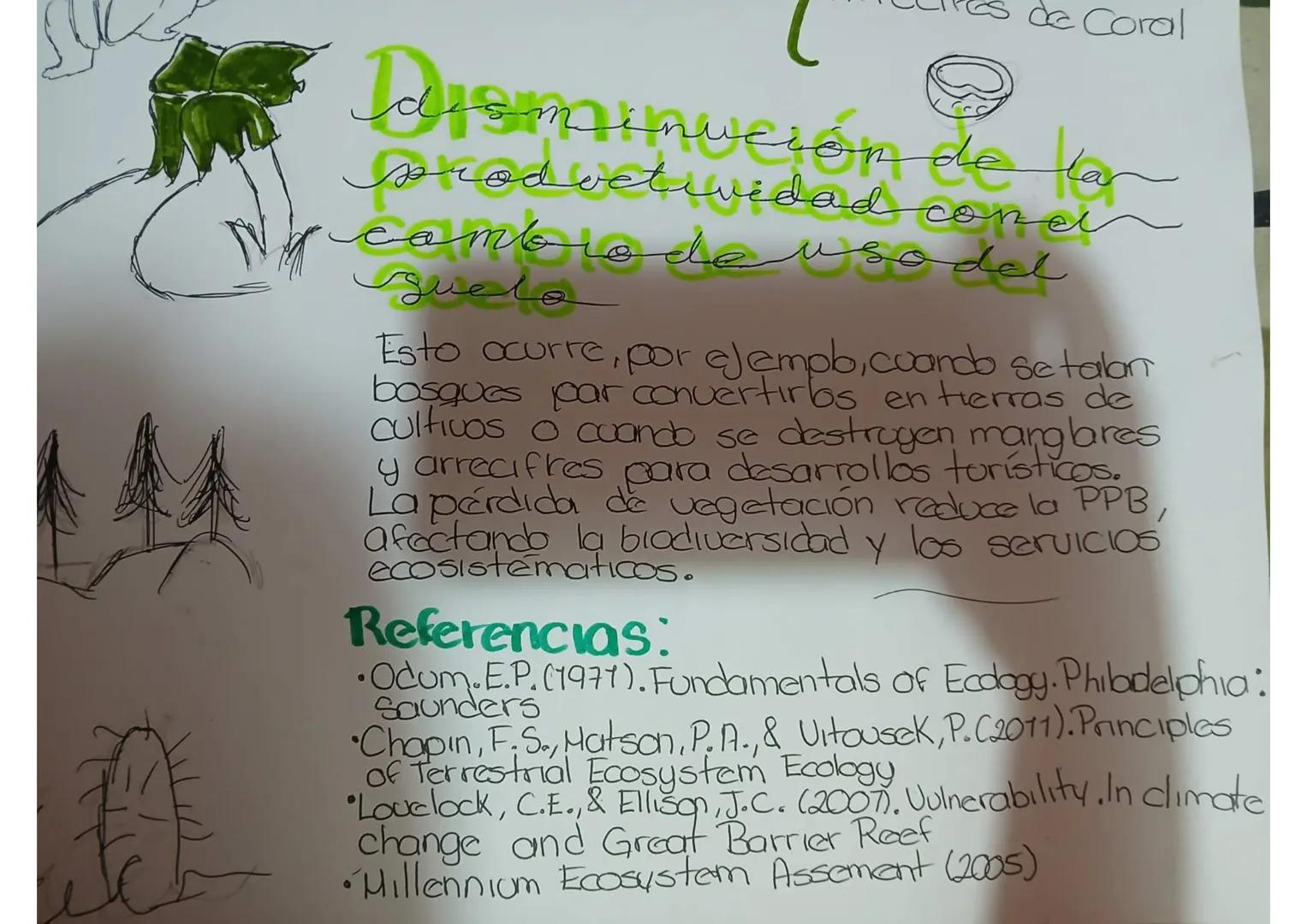# La productividad de un

Se refiere a la
ere
Cantidad de biomasa
O energía que los orga-
nismos producen en un
área específica duran-
te un