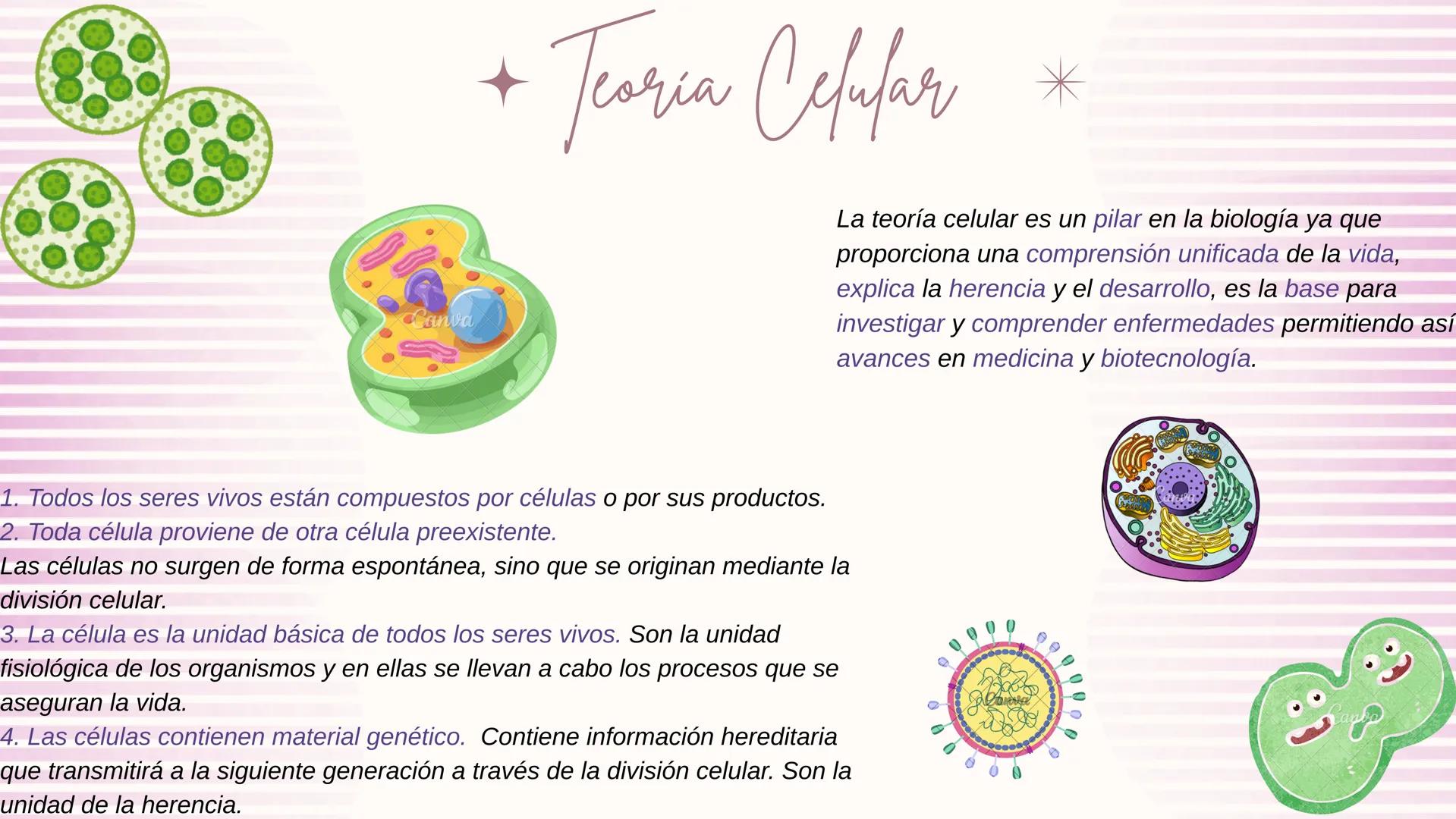 * Teoria Celular *

La teoría celular es un pilar en la biología ya que
proporciona una comprensión unificada de la vida,
explica la herenci