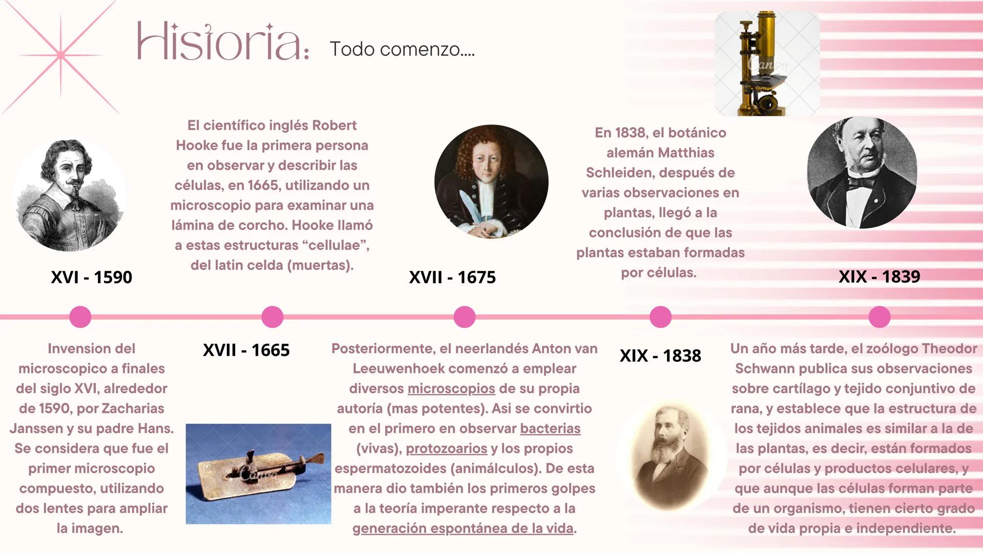 * Teoria Celular *

La teoría celular es un pilar en la biología ya que
proporciona una comprensión unificada de la vida,
explica la herenci