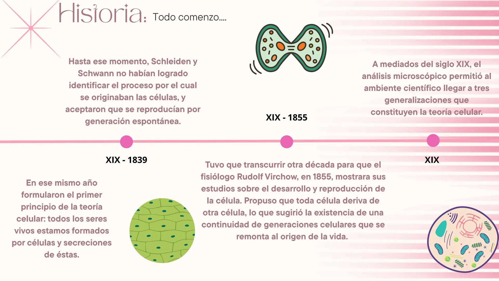 * Teoria Celular *

La teoría celular es un pilar en la biología ya que
proporciona una comprensión unificada de la vida,
explica la herenci