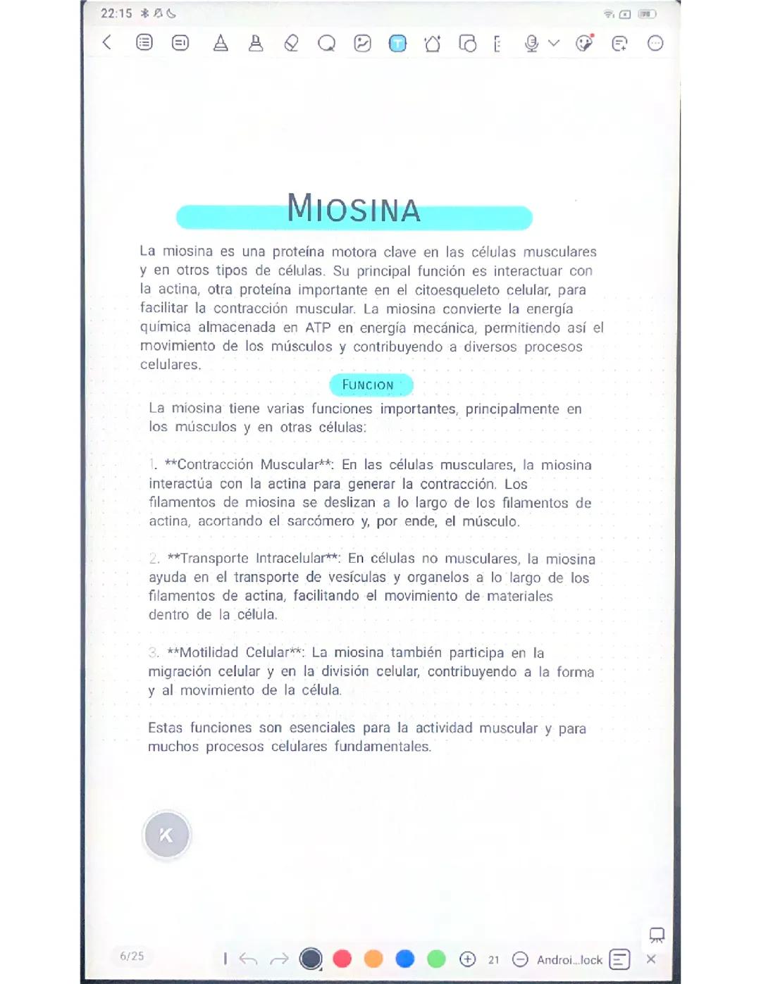 Miosina y Actina: Qué Son y Cuál es su Función