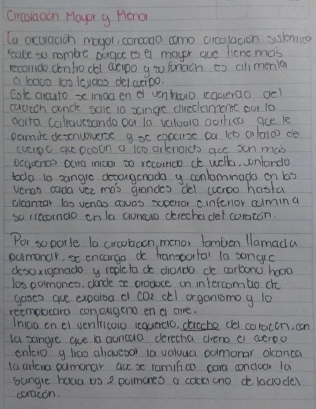 El Sistema de Circulación Mayor y Menor en el Cuerpo Humano