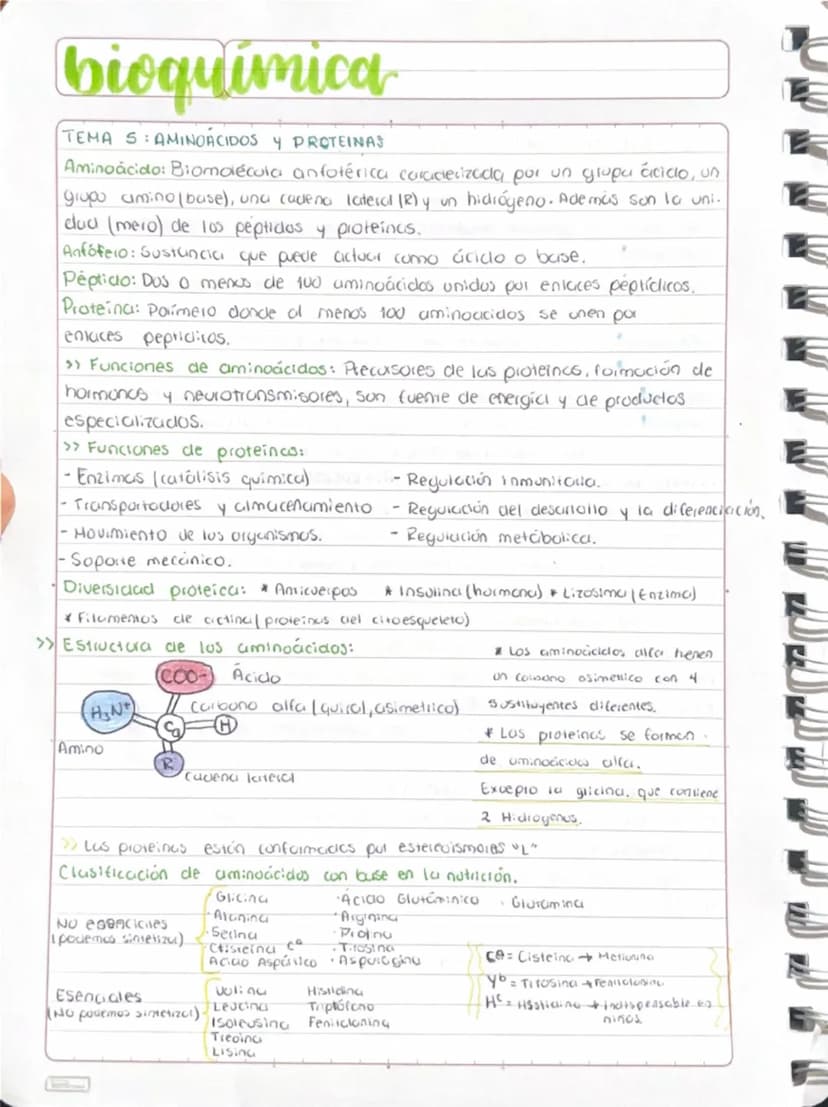 bioquímica
TEMA SAMINOACIDOS Y PROTEINAS
Aminoácido: Biomolécula anfotérica caracterizada por un grupa ácido, un
grupo amino (base), una cad