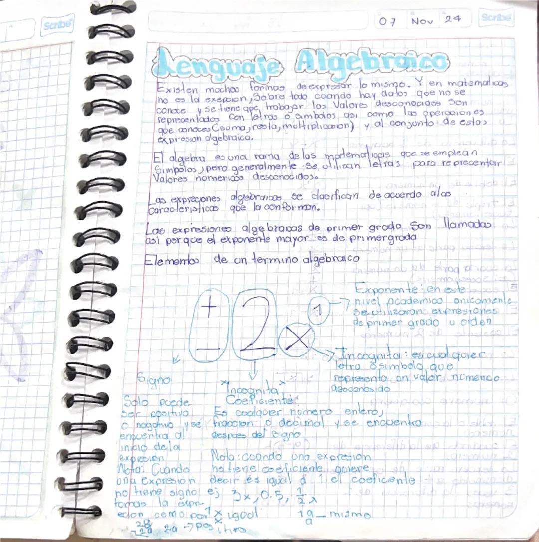 Scribe
07 Nov 24
Scribe
Lenguaje Algebraico
Existen muchas formas de expresar lo mismo. Y en matemáticas
no es la excepción. Sobre todo cuan