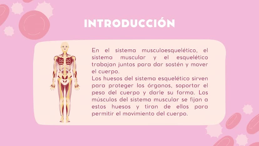 INTRODUCCIÓN
En el sistema
sistema muscular y el esquelético
trabajan juntos para dar sostén y mover
el cuerpo.
musculoesquelético, el
Los h