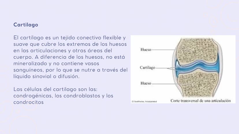 INTRODUCCIÓN
En el sistema
sistema muscular y el esquelético
trabajan juntos para dar sostén y mover
el cuerpo.
musculoesquelético, el
Los h