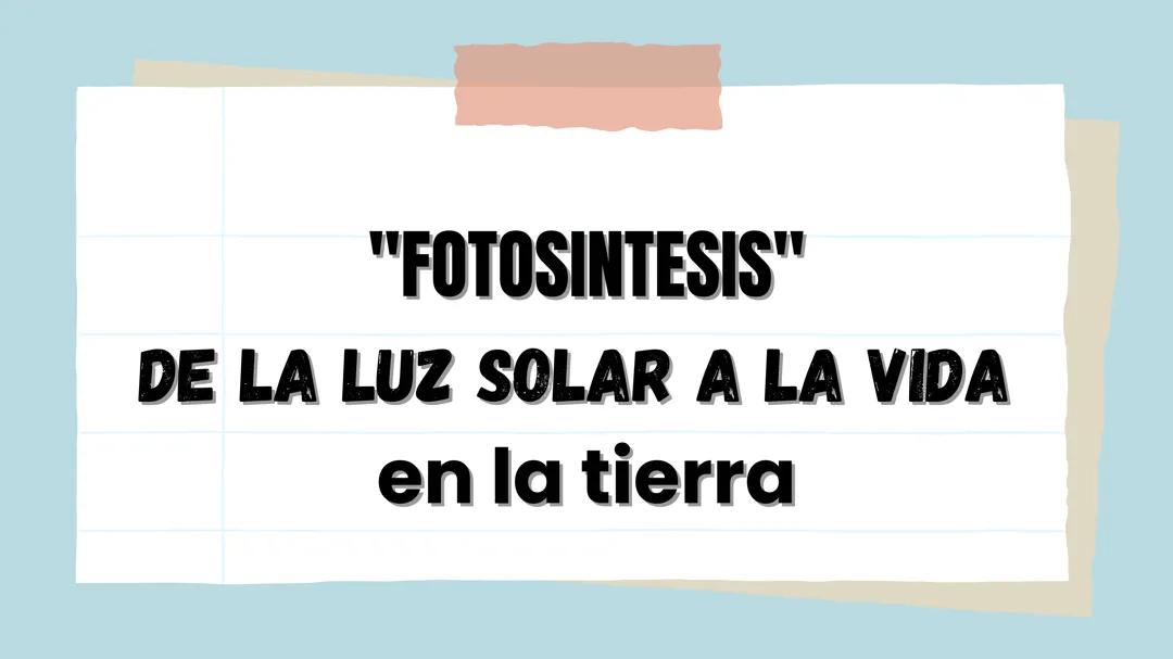La Fotosíntesis: Proceso Clave Explicado
