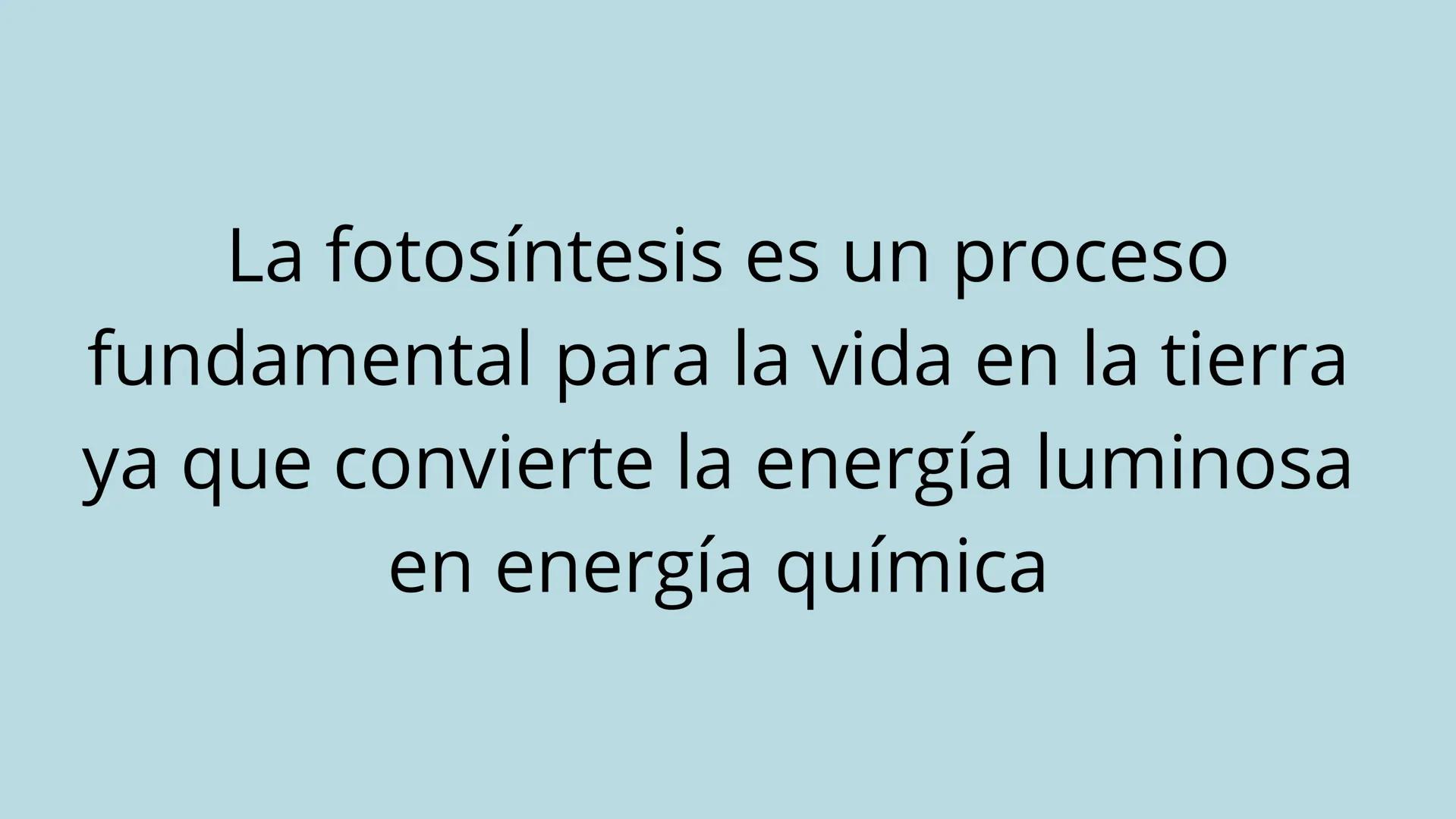 # "FOTOSINTESIS"

DE LA LUZ SOLAR A LA VIDA

en la tierra La fotosíntesis es el proceso
por el cual las plantas, algas y algunas
bacterias c