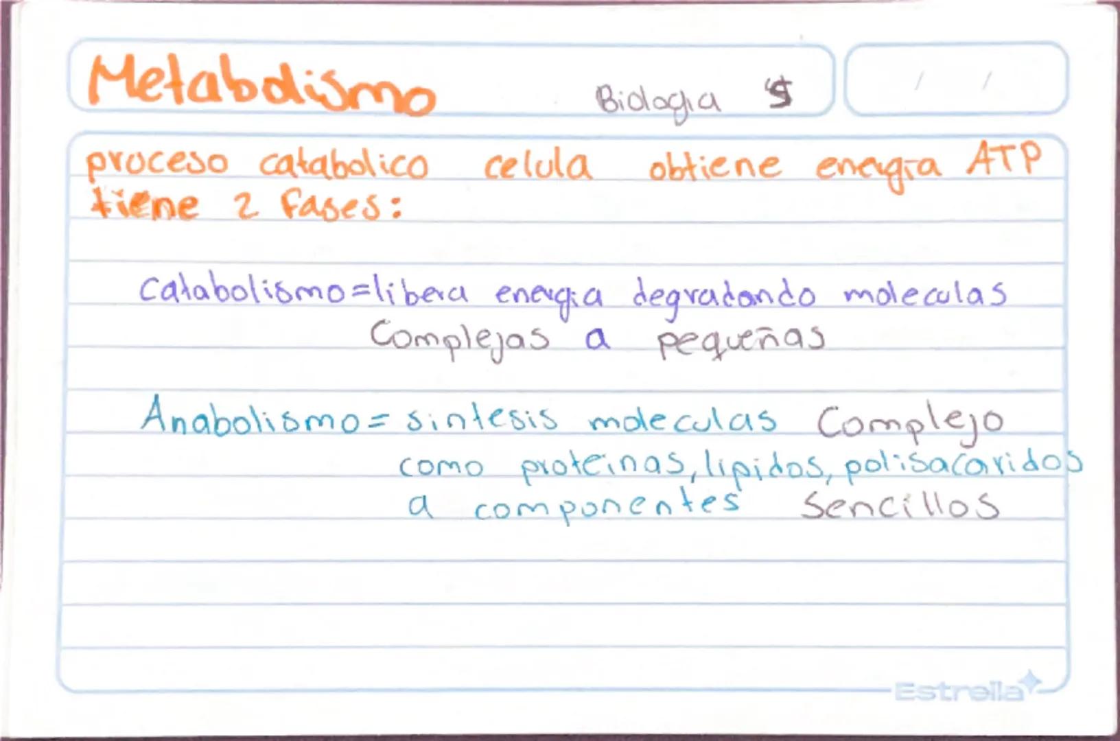 Metabolismo
Biologia st
/
/
proceso catabolico celula obtiene energia ATP
tiene 2 fases:
Catabolismo=libera energia degradando moleculas
Com