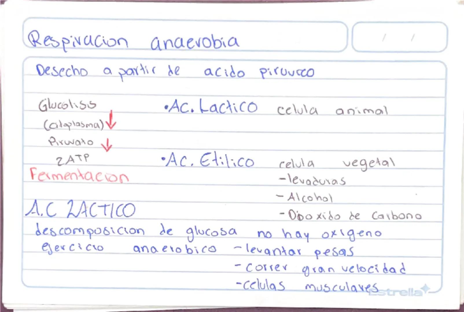 Metabolismo
Biologia st
/
/
proceso catabolico celula obtiene energia ATP
tiene 2 fases:
Catabolismo=libera energia degradando moleculas
Com