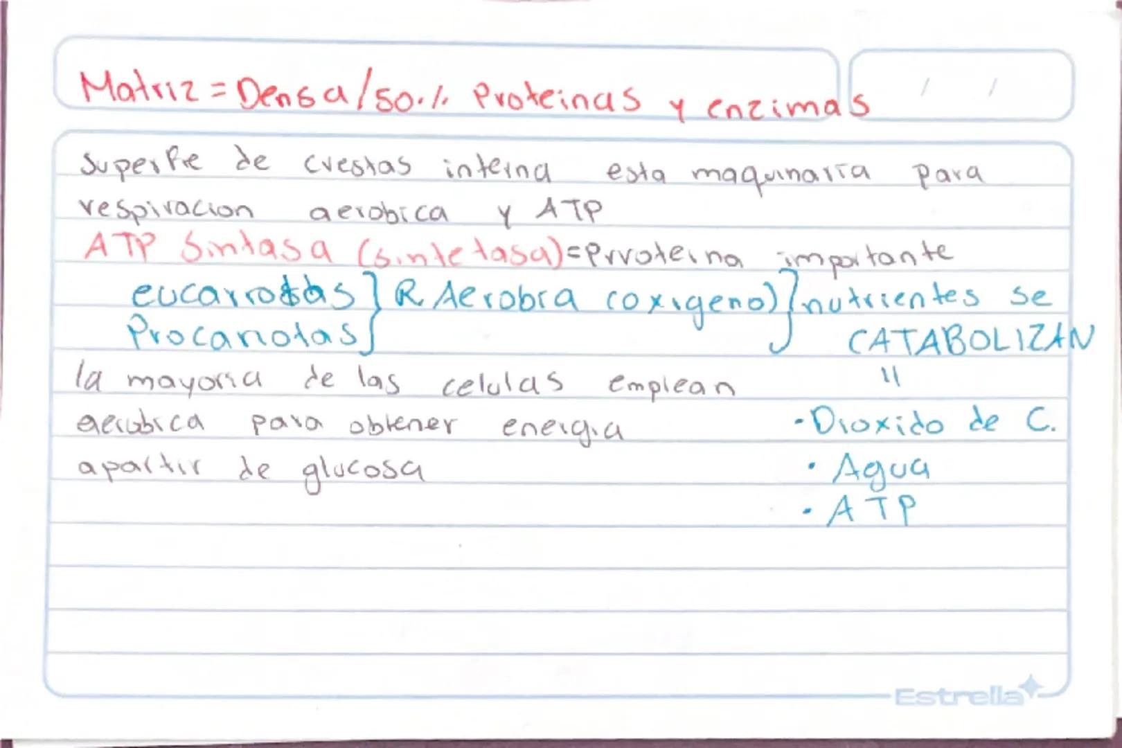 Metabolismo
Biologia st
/
/
proceso catabolico celula obtiene energia ATP
tiene 2 fases:
Catabolismo=libera energia degradando moleculas
Com