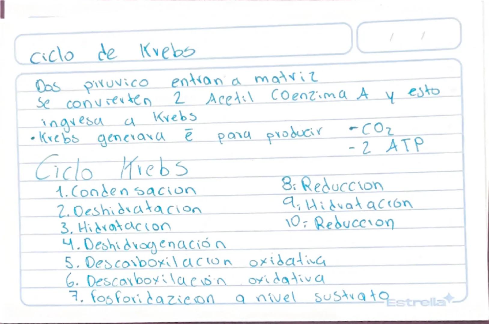 Metabolismo
Biologia st
/
/
proceso catabolico celula obtiene energia ATP
tiene 2 fases:
Catabolismo=libera energia degradando moleculas
Com
