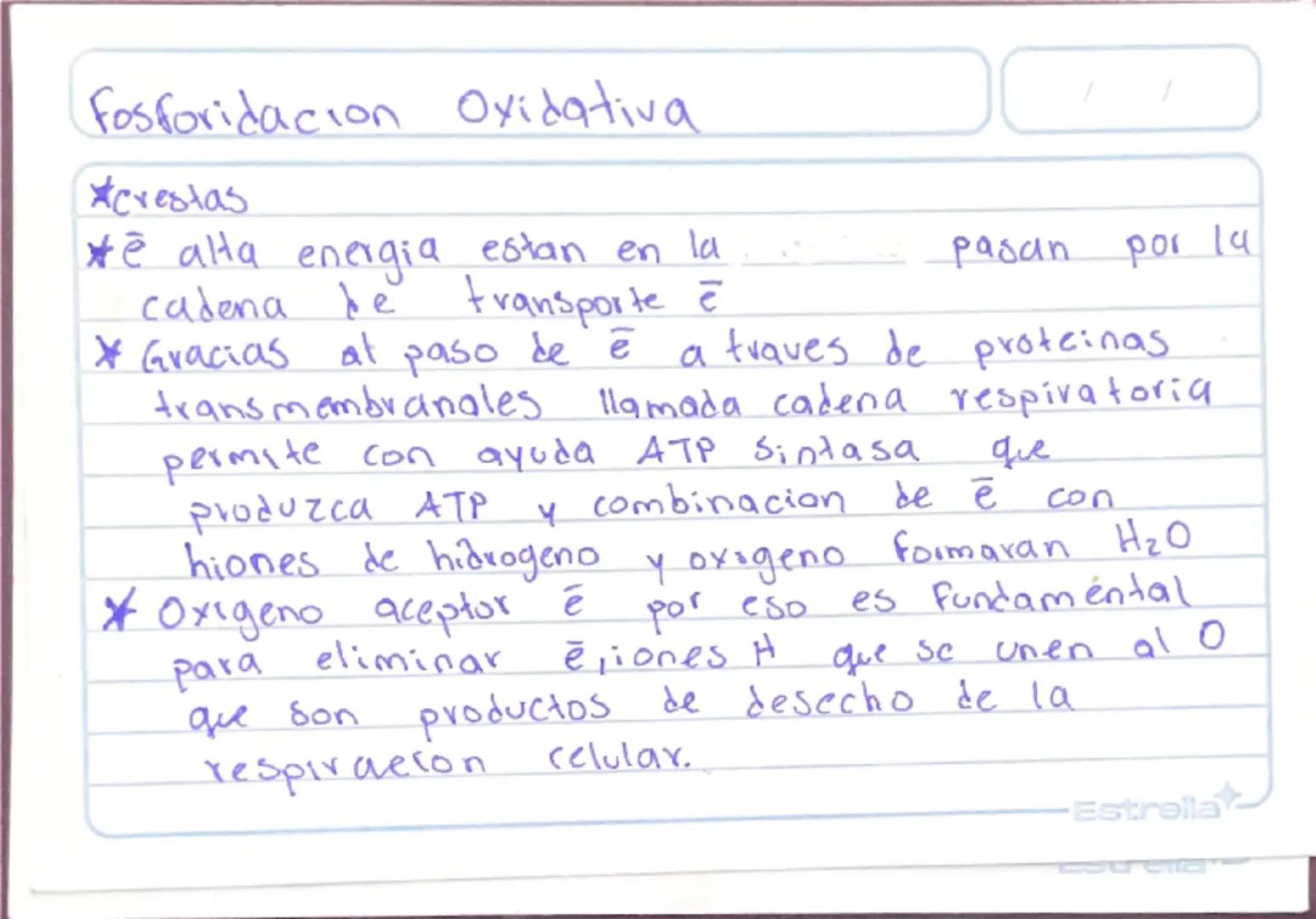Metabolismo
Biologia st
/
/
proceso catabolico celula obtiene energia ATP
tiene 2 fases:
Catabolismo=libera energia degradando moleculas
Com