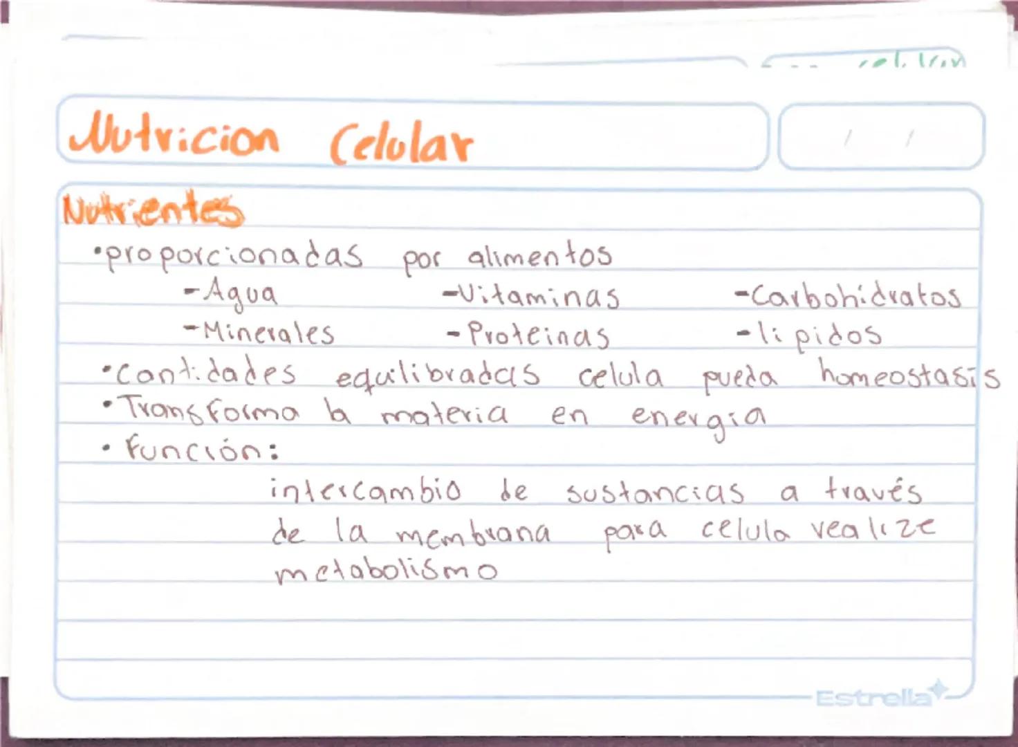 Metabolismo
Biologia st
/
/
proceso catabolico celula obtiene energia ATP
tiene 2 fases:
Catabolismo=libera energia degradando moleculas
Com