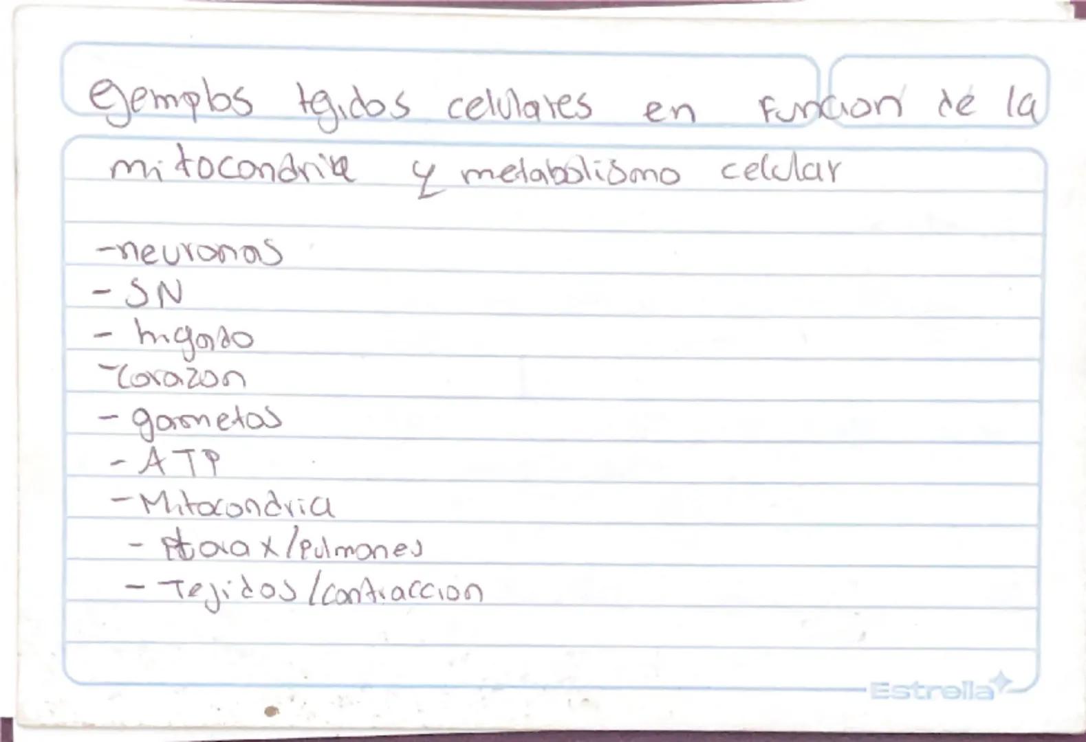 Metabolismo
Biologia st
/
/
proceso catabolico celula obtiene energia ATP
tiene 2 fases:
Catabolismo=libera energia degradando moleculas
Com