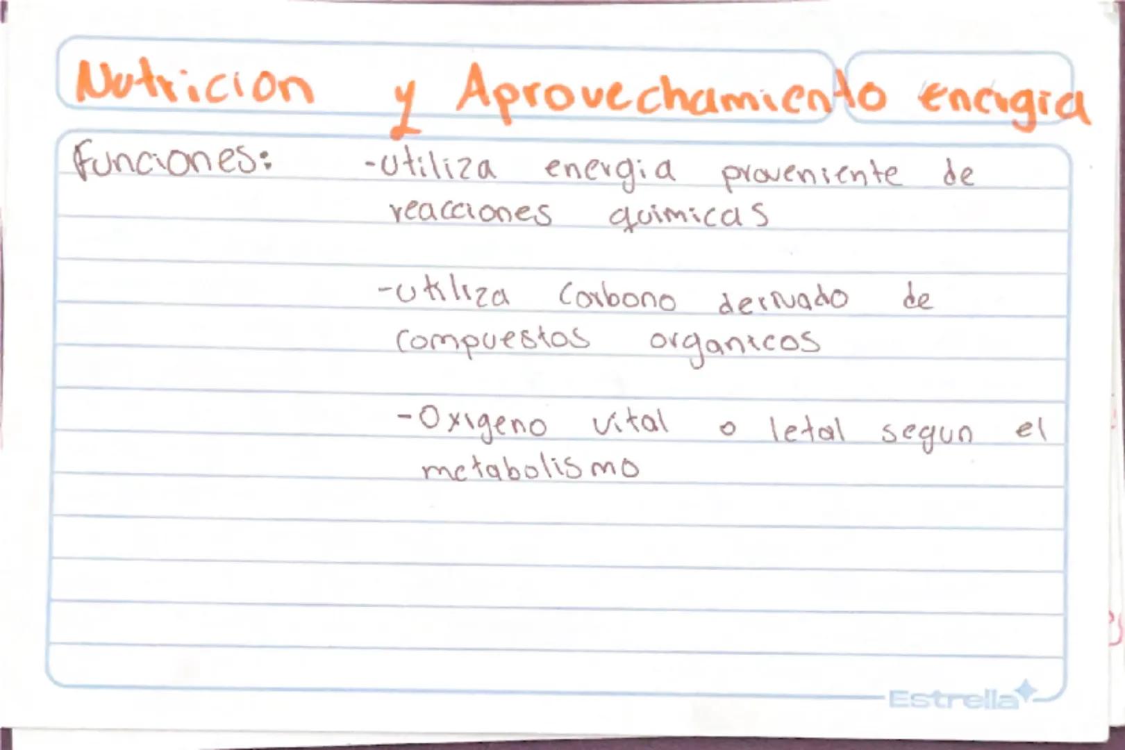 Metabolismo
Biologia st
/
/
proceso catabolico celula obtiene energia ATP
tiene 2 fases:
Catabolismo=libera energia degradando moleculas
Com