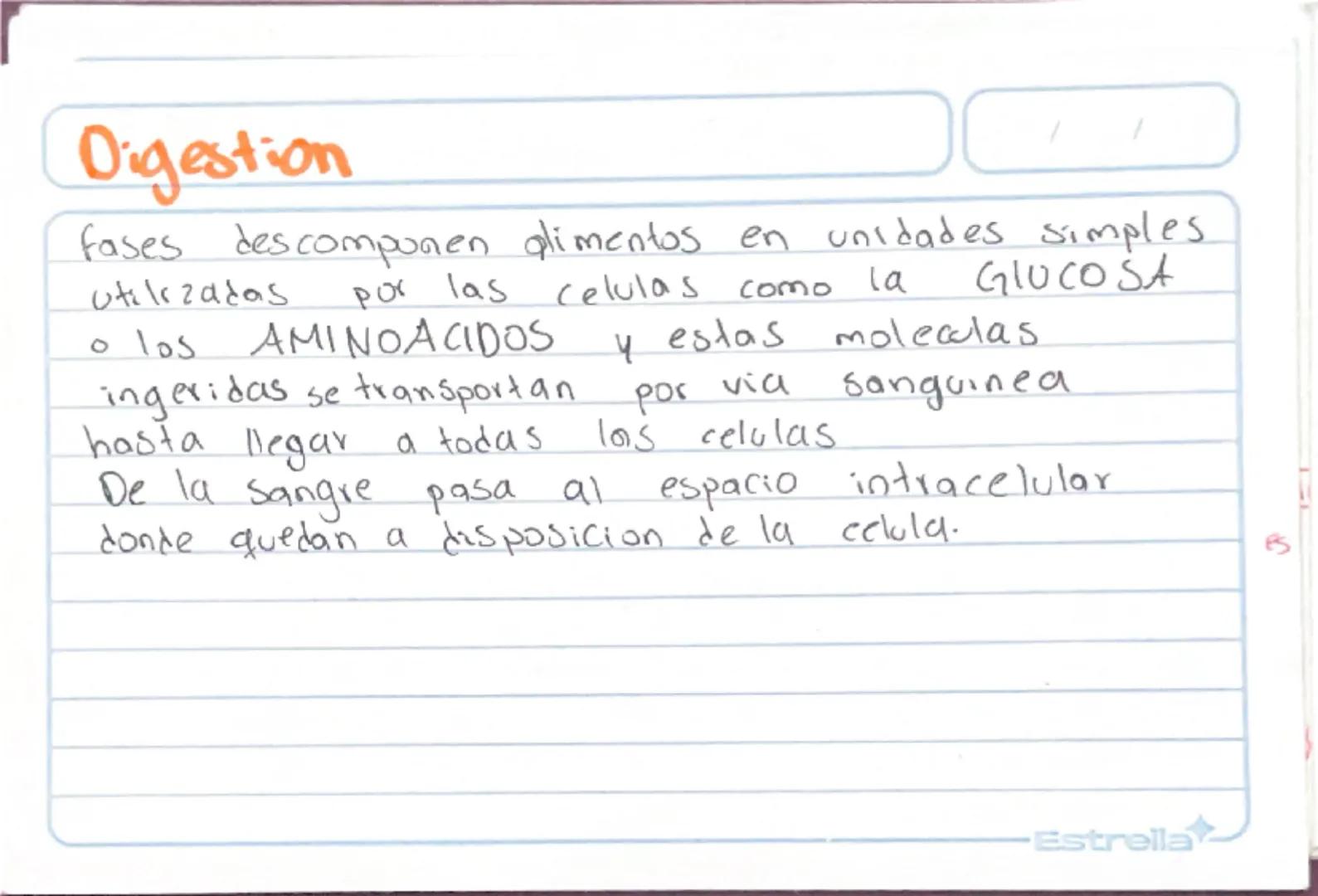 Metabolismo
Biologia st
/
/
proceso catabolico celula obtiene energia ATP
tiene 2 fases:
Catabolismo=libera energia degradando moleculas
Com