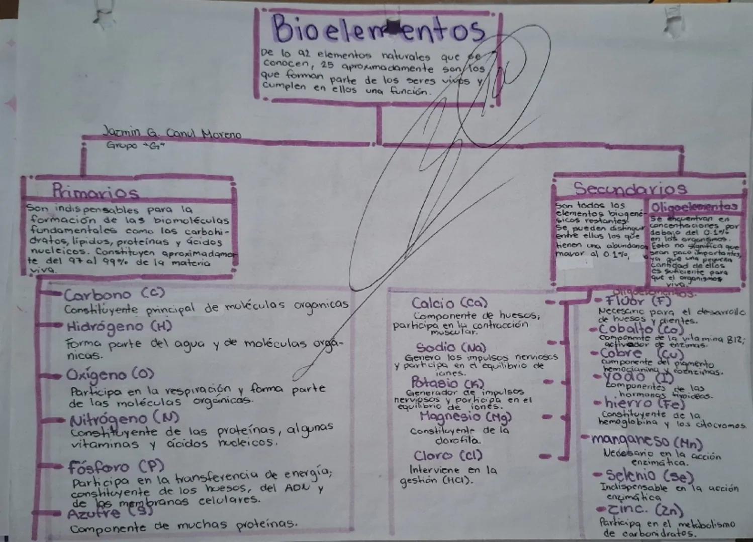 --- OCR Start ---
Jazmin G. Canul Moreno
Grupo G
Bioelementos
De lo a2 elementos naturales que se
Conocen, 25 aproximadamente son los
que fo