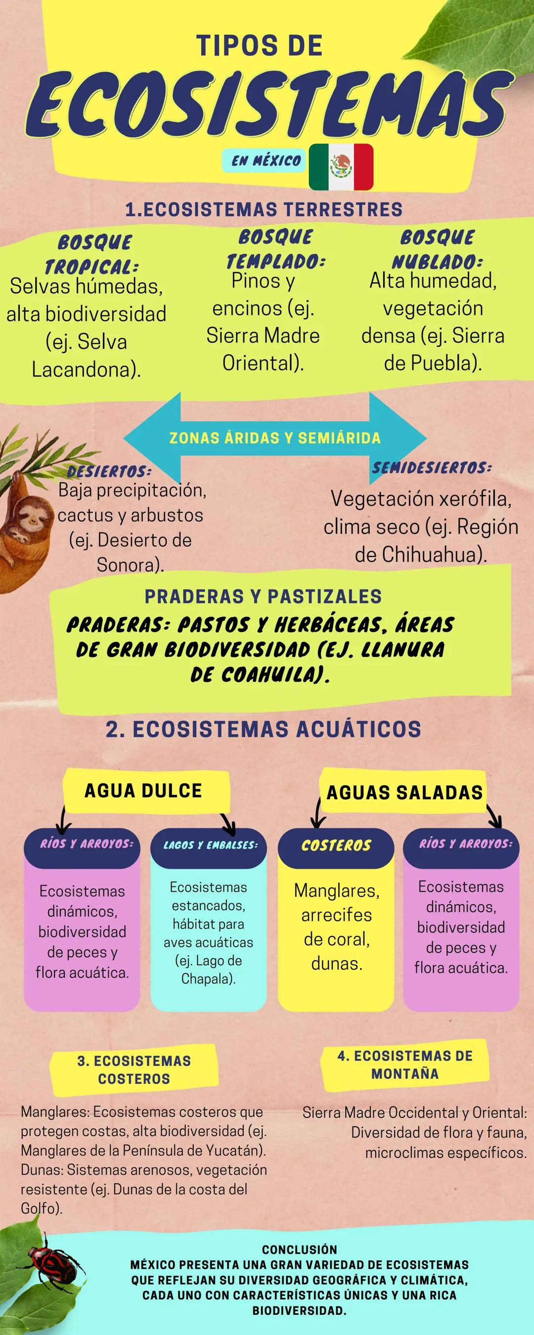 ECOSISTEMAS
¿QUÉ ES UN ECOSISTEMA?
Un ecosistema es un conjunto de organismos vivos (flora y fauna) que
interactúan entre sí y con su entorn