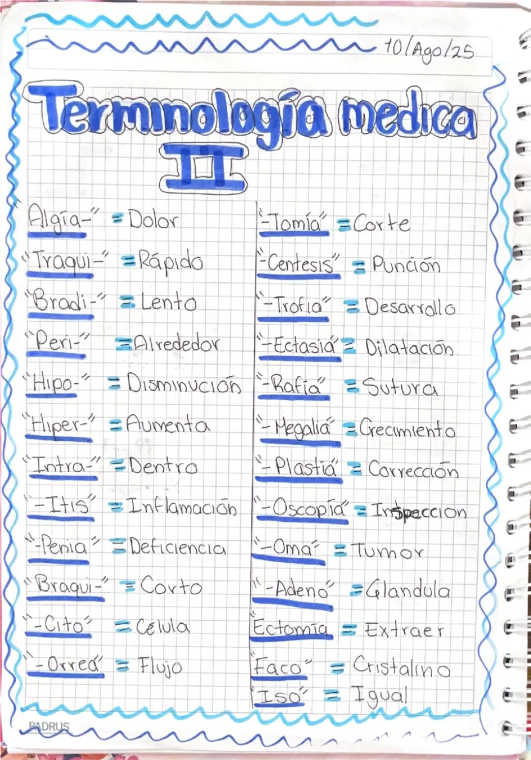 8/Ago/25
# Terminologia Basica
El lenguaje medico se basa en 3 partes importantes en
cada palabra:
1: RAÍZ: Es el núcleo del termino respeta