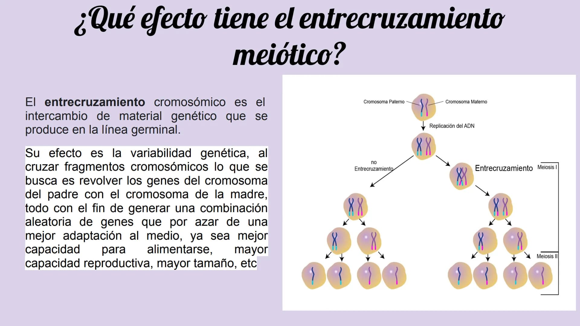 ¿Qué células llevan a cabo la meiosis?
las células germinales son capaces de realizar meiosis, un proceso de división celular permite la
pro