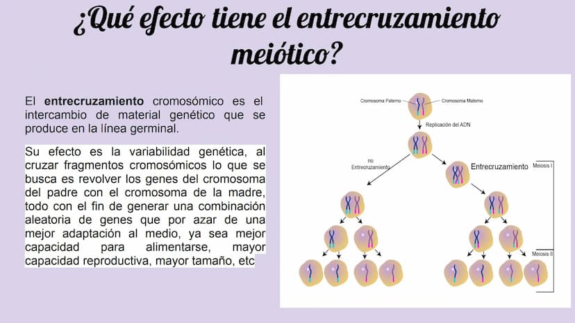 ¿Qué células llevan a cabo la meiosis?
las células germinales son capaces de realizar meiosis, un proceso de división celular permite la
pro
