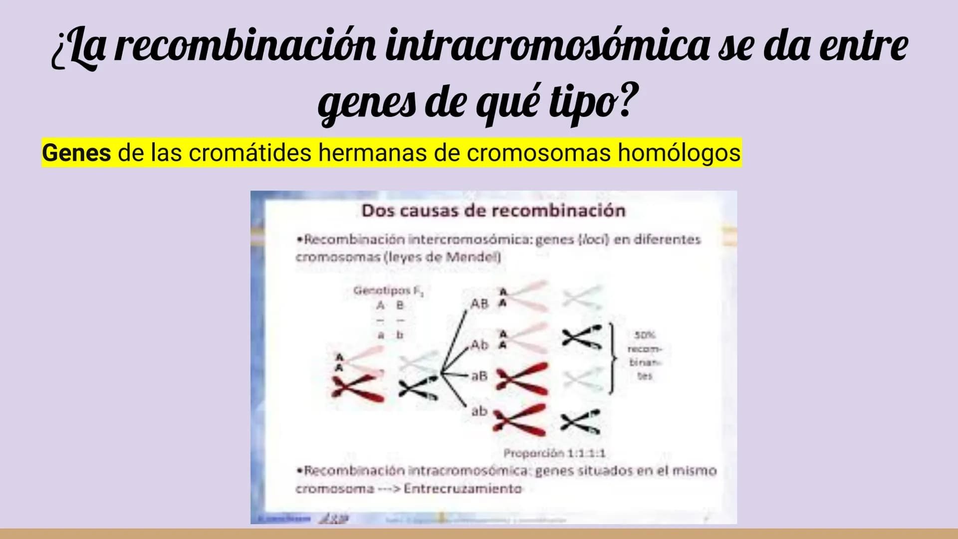 ¿Qué células llevan a cabo la meiosis?
las células germinales son capaces de realizar meiosis, un proceso de división celular permite la
pro