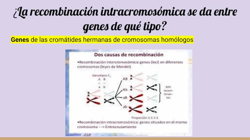 ¿Qué células llevan a cabo la meiosis?
las células germinales son capaces de realizar meiosis, un proceso de división celular permite la
pro