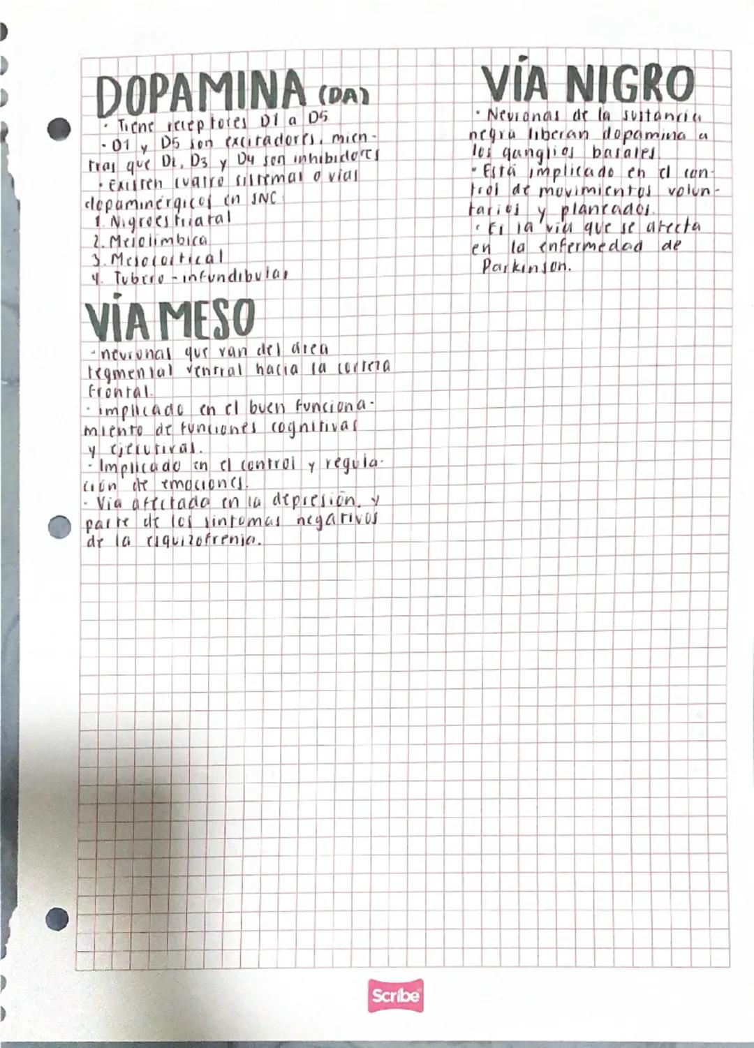 # AMINOÁCIDOS

ACETILCOLINA Principal NT implicado en las uniones nuromuscu
lavesi
CATECOLAMINAS: NT formados por el grupo catecol. Incluye 