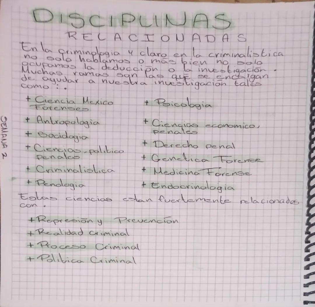 Ramas y estudios relacionados con la criminología