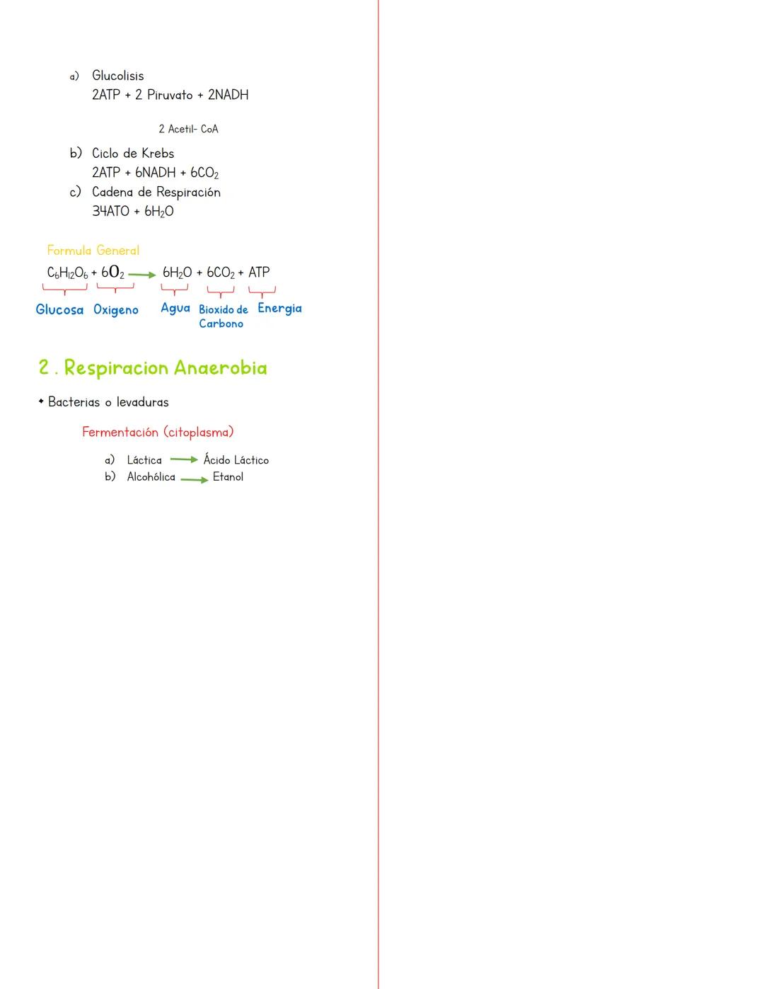 •
Metabolismo
Catabolismo
Complejos Simples
。 Destruye
Respiración Celular
о No necesita ATP
1. Respiración Aerobia
a) Glucolisis
Citoplasma