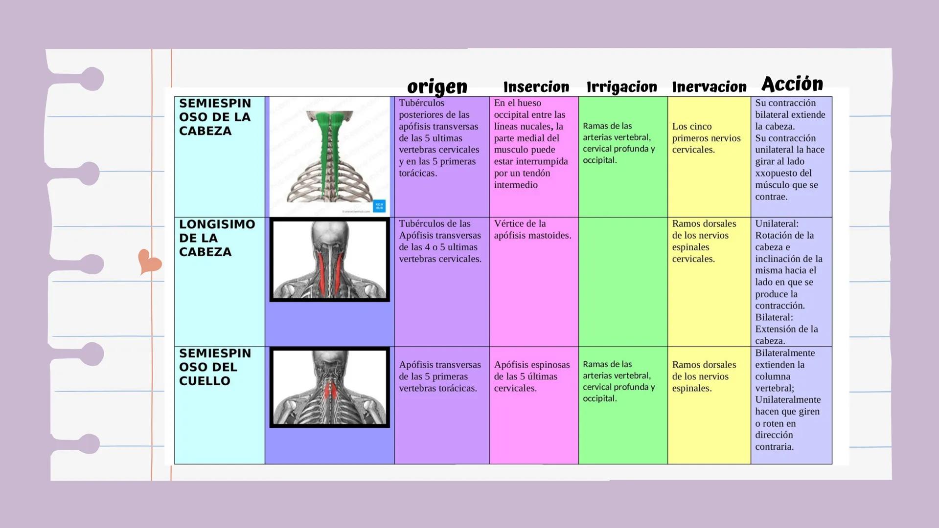 # Introducción

Es una lesión del disco intervertebral, donde el
núcleo pulposo al prolapsarse a través del anillo,
fibroso, produce un cuad