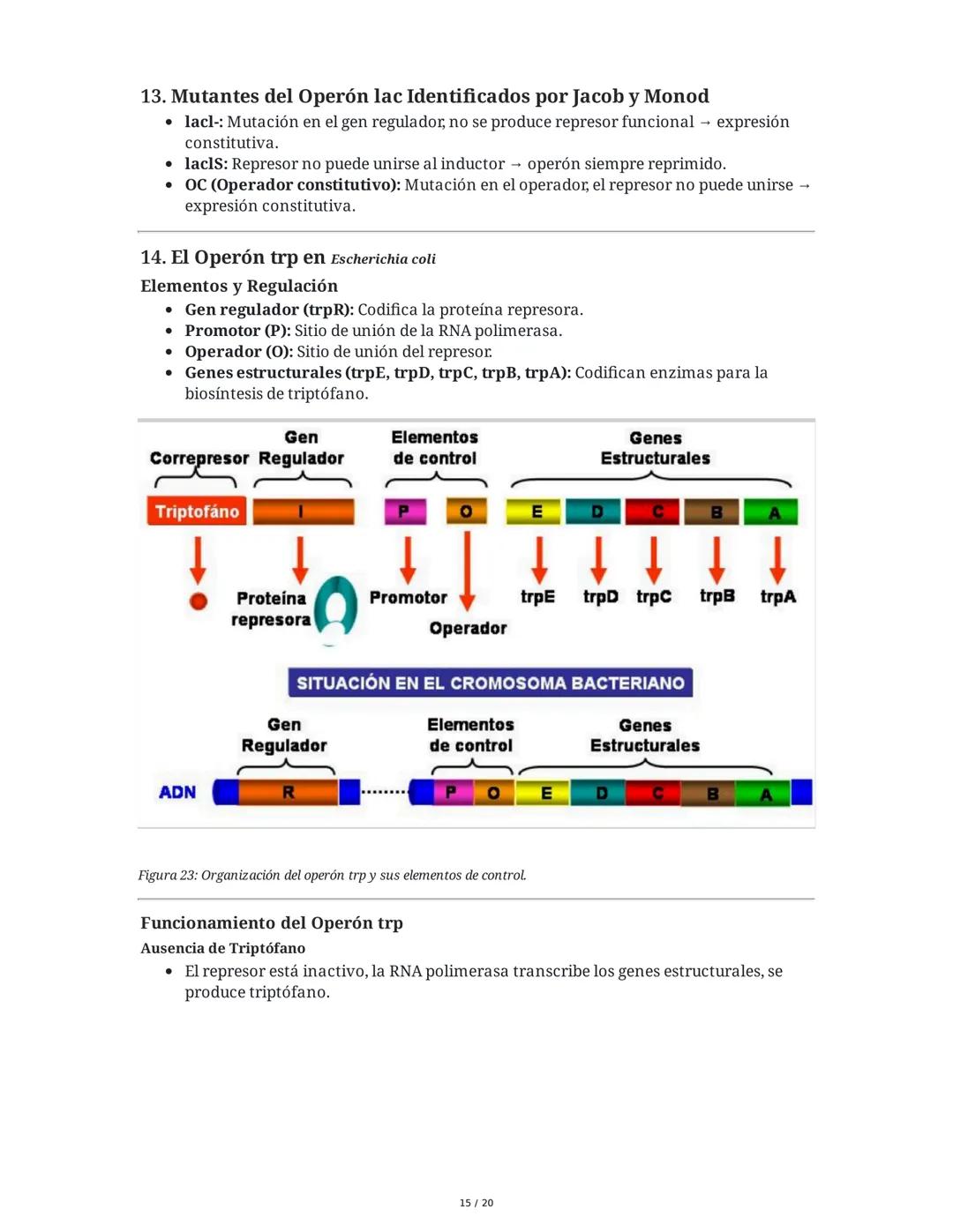 Regulación de la Síntesis de β-Galactosidasa en *Escherichia coli*

1. Definición de Conceptos Clave
Genoma, Gen, Cromosoma, Exón, Intrón, m