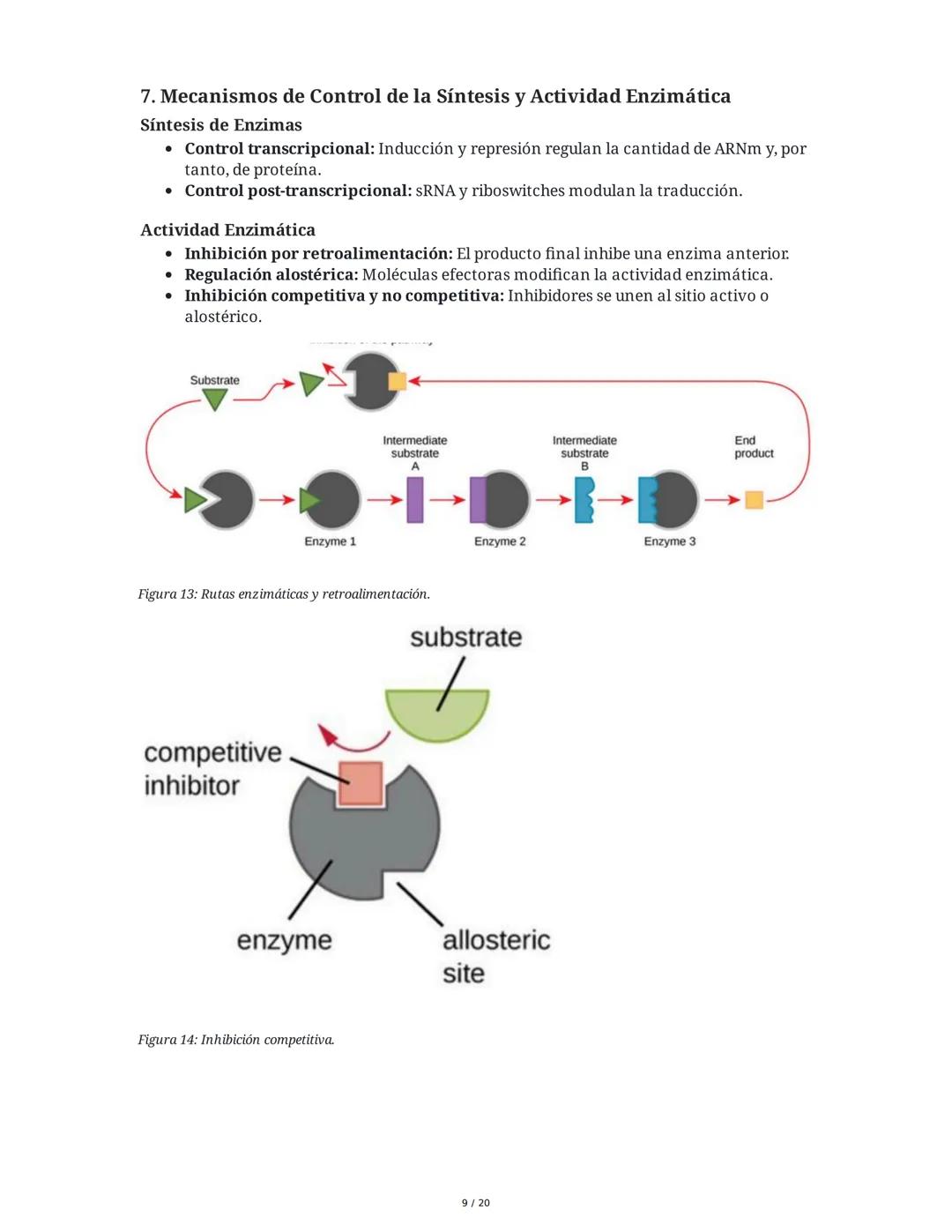 Regulación de la Síntesis de β-Galactosidasa en *Escherichia coli*

1. Definición de Conceptos Clave
Genoma, Gen, Cromosoma, Exón, Intrón, m