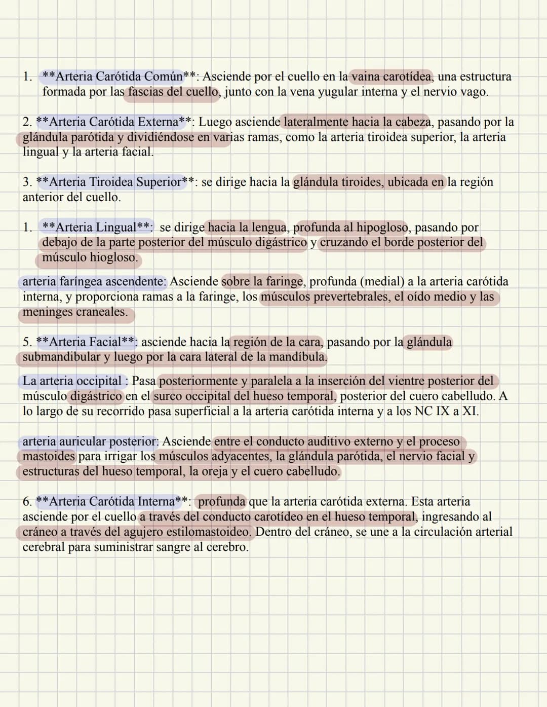 ABDOMEN
Órganos y viseras
Músculos aponeuróticos que permite distenderse y contraerse
Embarazo
Ingestión
Respiración
Acumulación de liquido
