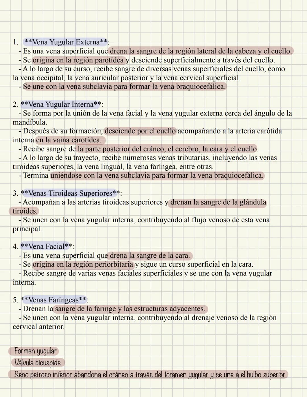 ABDOMEN
Órganos y viseras
Músculos aponeuróticos que permite distenderse y contraerse
Embarazo
Ingestión
Respiración
Acumulación de liquido
