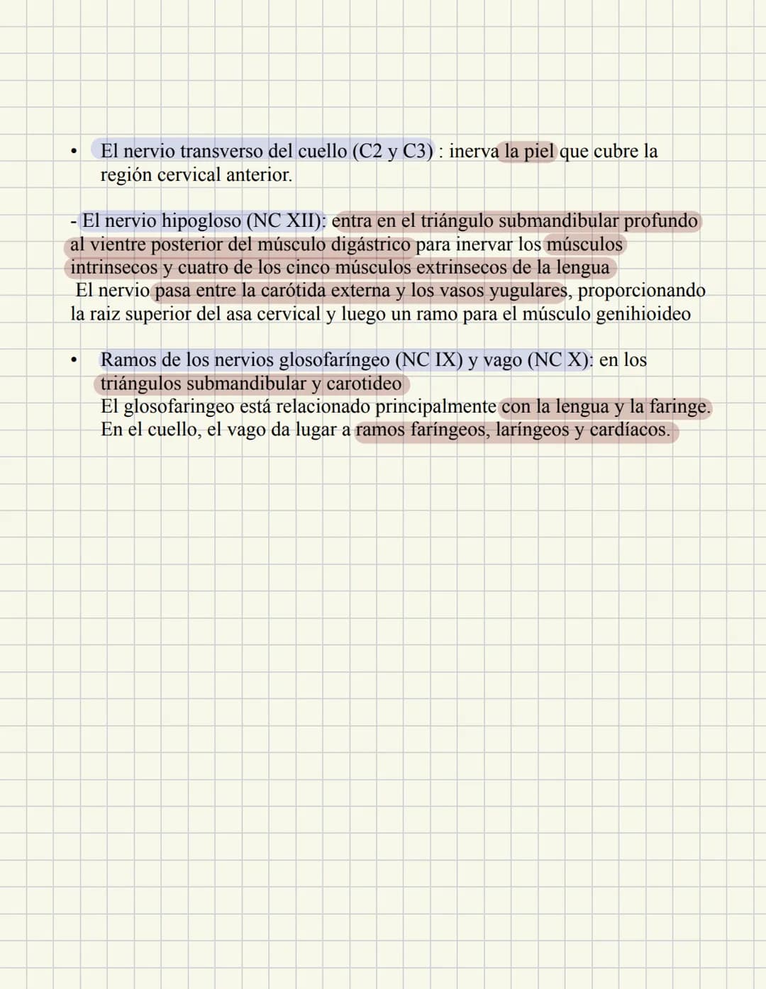 ABDOMEN
Órganos y viseras
Músculos aponeuróticos que permite distenderse y contraerse
Embarazo
Ingestión
Respiración
Acumulación de liquido
